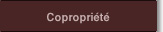 La copropriétés d'un immeuble.  La loi prévoit l'existence de deux types de copropriétés